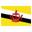 Flag Brunei