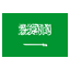 Flag Saudi Arabia